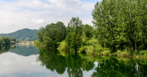 View of the Serchio River with dense vegetation on its banks.