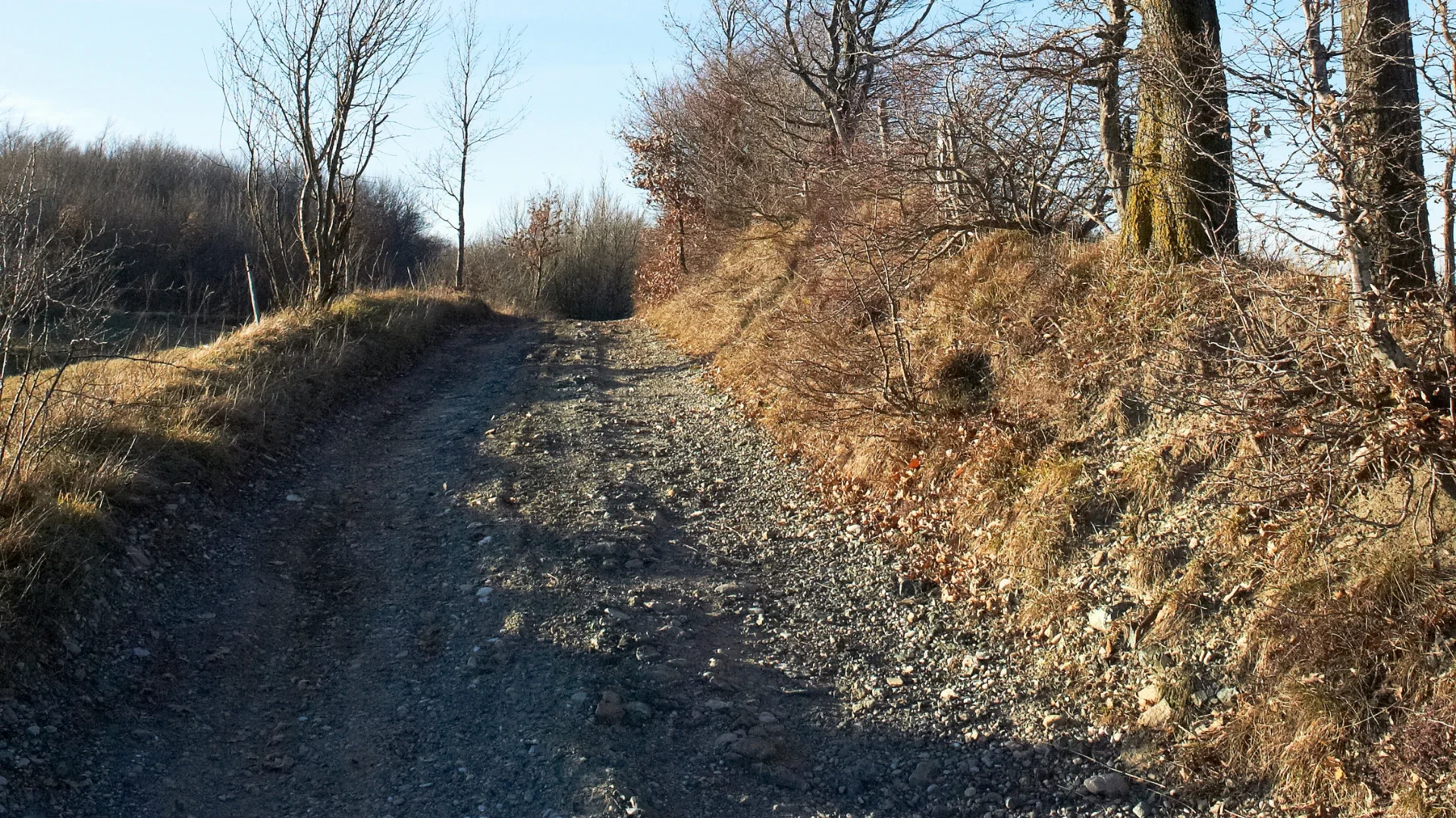 Via-Francigena-ToscanaLucca-1-.webp